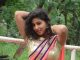 America NRI Actress Sizzling Saree Pics